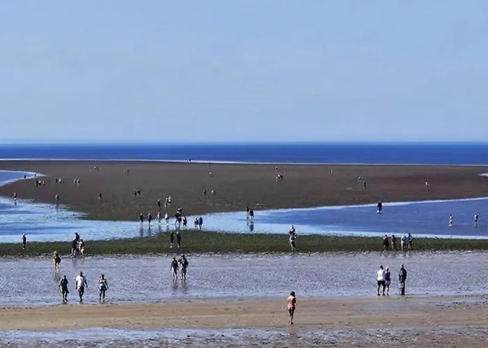 Camping Mobil-home Pour 5 Pers, Moderne Avec Terrasse - Api-1-52-699