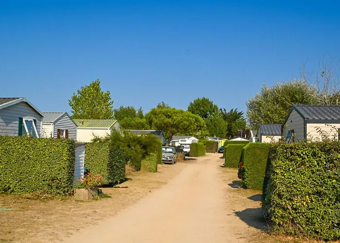 Mobil-home Pour 5 Pers, Moderne Avec Terrasse - Api-1-52-699 Camping *