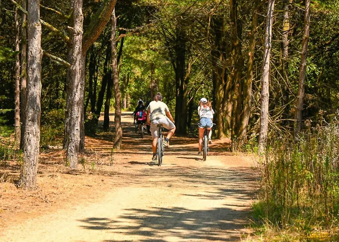 Camping Mobil-home Pour 5 Pers, Moderne Avec Terrasse - Api-1-52-699 Notre-Dame-de-Monts