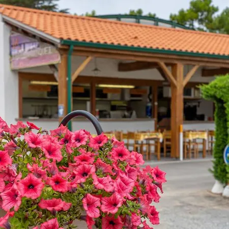 Mobil-home Pour 5 Pers, Moderne Avec Terrasse - Api-1-52-699