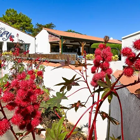 Mobil-home Pour 5 Pers, Moderne Avec Terrasse - Api-1-52-699 Notre-Dame-de-Monts