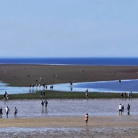 Campsite Mobil-home Pour 5 Pers, Moderne Avec Terrasse - Api-1-52-699