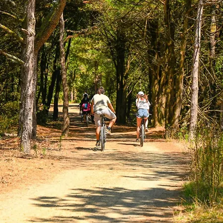 Campsite Mobil-home Pour 5 Pers, Moderne Avec Terrasse - Api-1-52-699 Notre-Dame-de-Monts