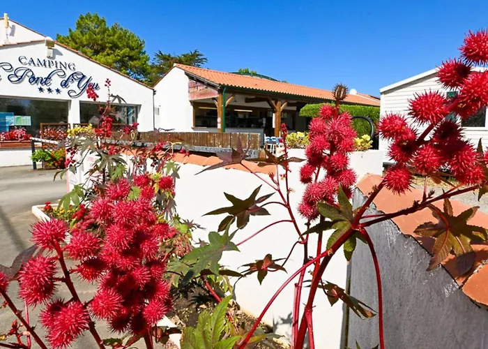 Mobil-home Pour 5 Pers, Moderne Avec Terrasse - Api-1-52-699 Notre-Dame-de-Monts